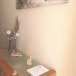 Casa Dos Avos *